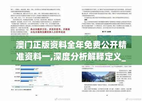 澳門正版資料全年免費(fèi)公開精準(zhǔn)資料一,深度分析解釋定義_1080p8.886