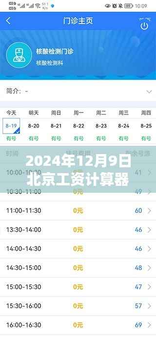 手把手教你使用最新北京工資計算器，輕松掌握個人收入狀況（初學者進階適用）