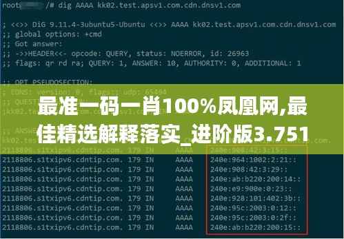 最準一碼一肖100%鳳凰網,最佳精選解釋落實_進階版3.751