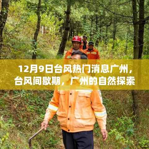 廣州臺風間歇期自然探索之旅，尋找心靈的寧靜港灣