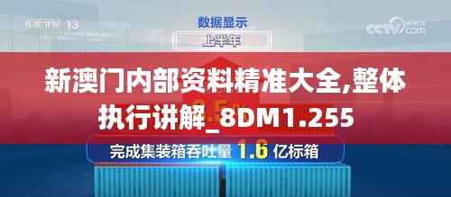 新澳門內(nèi)部資料精準大全,整體執(zhí)行講解_8DM1.255