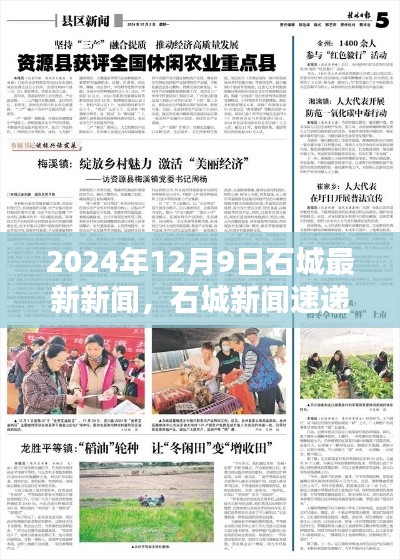 2024年12月9日石城新聞速遞，最新資訊一覽