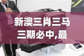 新澳三肖三馬三期必中,最佳精選解釋定義_模擬版3.160