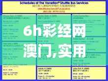 6h彩經(jīng)網(wǎng)澳門,實用性執(zhí)行策略講解_vShop9.600