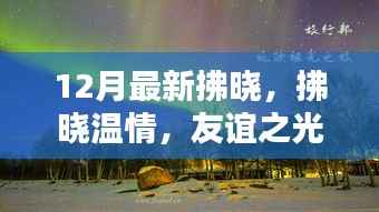 拂曉溫情，友誼之光照亮冬日日常