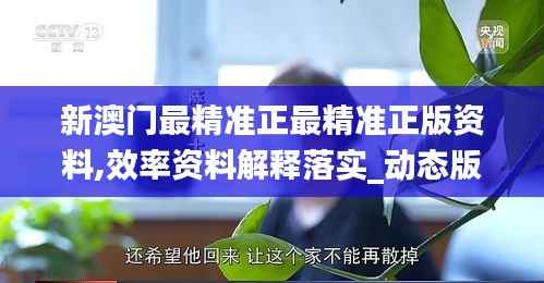 新澳門最精準(zhǔn)正最精準(zhǔn)正版資料,效率資料解釋落實_動態(tài)版9.927