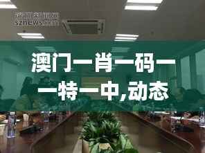 澳門一肖一碼一一特一中,動態(tài)調(diào)整策略執(zhí)行_鉆石版3.675
