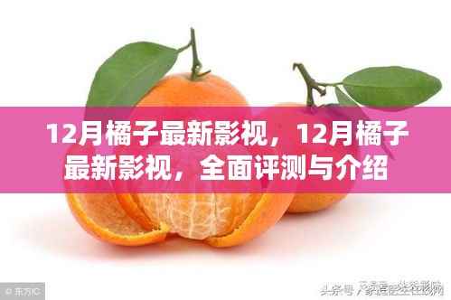 12月橘子最新影視，全面評測與介紹