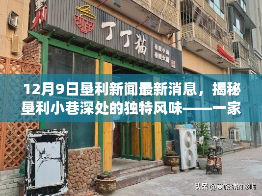 揭秘墾利小巷深處的獨特風味，墾利新聞最新消息中的隱藏式特色小店故事