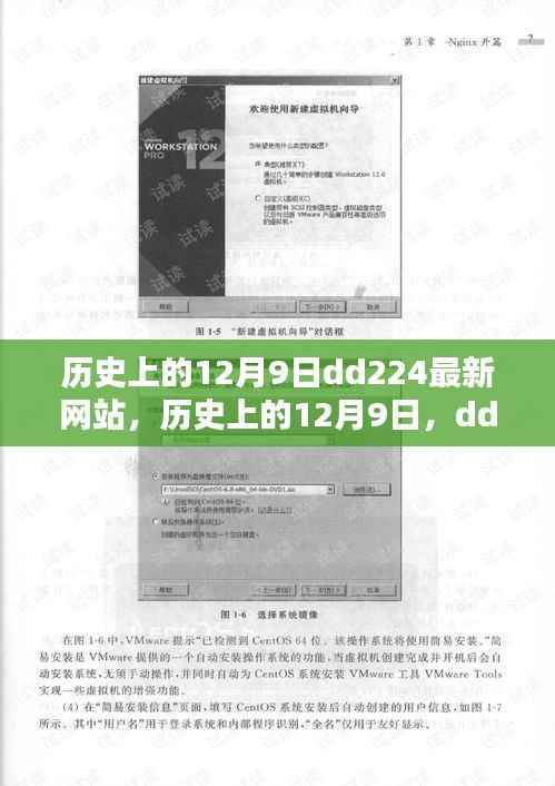 歷史上的12月9日，DD224最新網站全面評測與介紹
