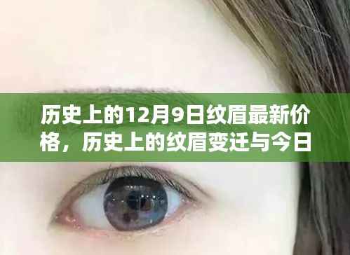 歷史上的紋眉變遷與今日最新價格概覽，12月9日紋眉價格回顧與概覽