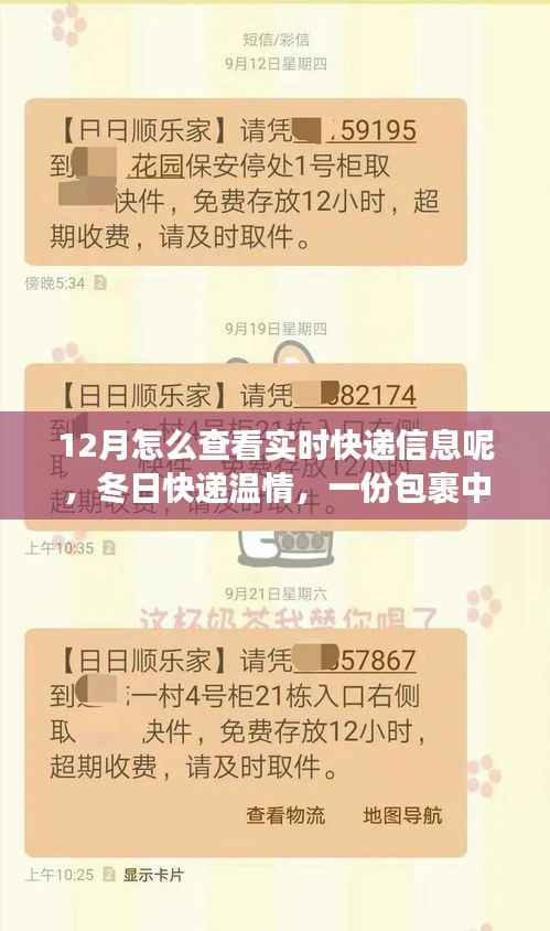 12月實(shí)時(shí)快遞追蹤，冬日包裹里的暖心故事