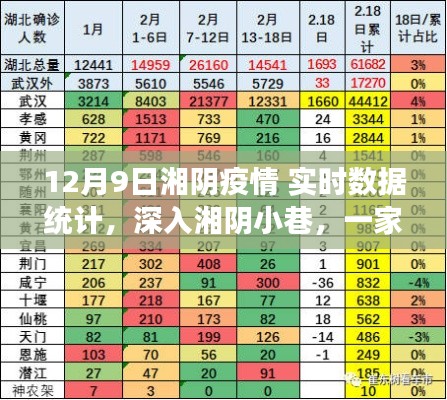 湘陰疫情實(shí)時(shí)觀察，特色小店魅力與疫情數(shù)據(jù)深度解析