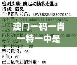 澳門一碼一肖一特一中是合法的嗎,深入數(shù)據(jù)解釋定義_領(lǐng)航版4.972