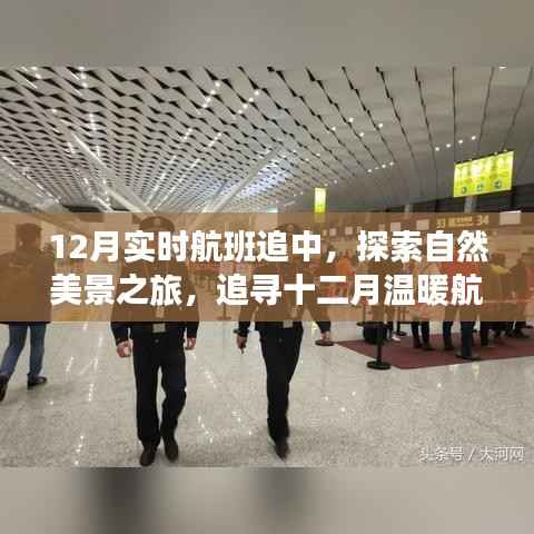 十二月溫暖航班，自然美景之旅，追尋內(nèi)心的寧靜與平和