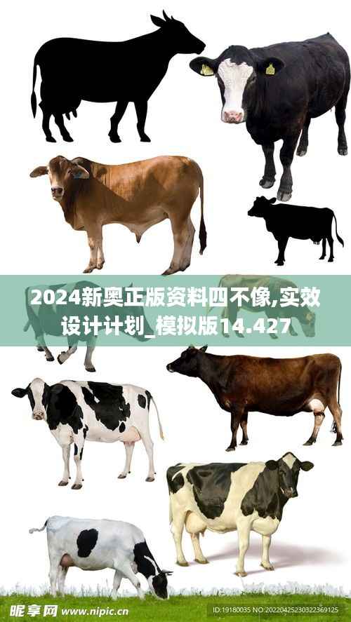 2024新奧正版資料四不像,實(shí)效設(shè)計(jì)計(jì)劃_模擬版14.427