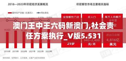 澳門王中王六碼新澳門,社會責(zé)任方案執(zhí)行_V版5.531