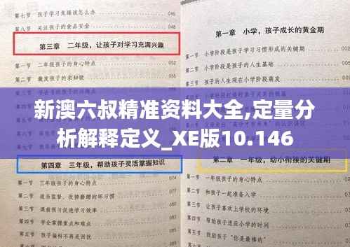 新澳六叔精準資料大全,定量分析解釋定義_XE版10.146