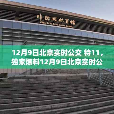 獨家爆料，揭秘北京實時公交特11出行秘籍，輕松掌握公交動態(tài)！