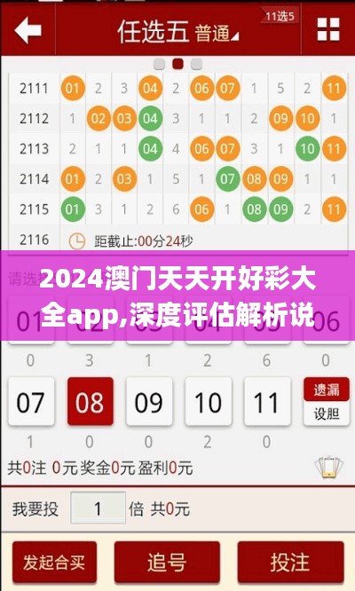 2024澳門天天開好彩大全app,深度評估解析說明_定制版1.232