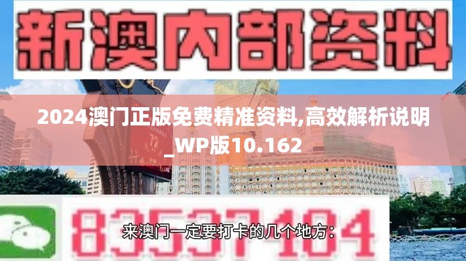 2024澳門正版免費精準資料,高效解析說明_WP版10.162