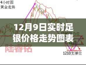 揭秘，12月9日實時足銀價格走勢及分析圖表呈現(xiàn)！