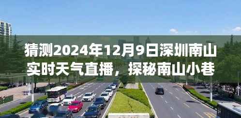 建議，探秘南山小巷，深圳南山實時天氣直播之旅