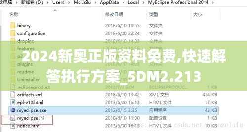 2024新奧正版資料免費(fèi),快速解答執(zhí)行方案_5DM2.213
