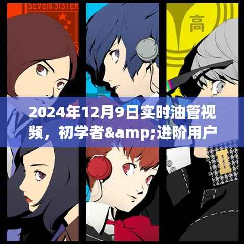 初學(xué)者與進(jìn)階用戶指南，觀看油管實時視頻詳細(xì)步驟及實時體驗分享（2024年12月9日）