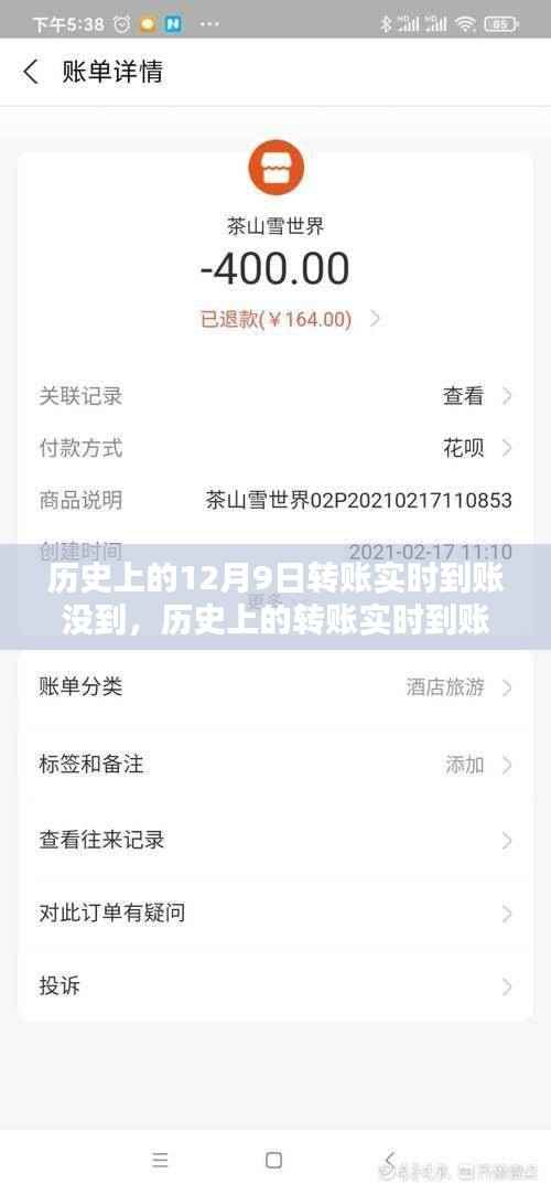 歷史上的轉(zhuǎn)賬實(shí)時到賬問題解析與解決指南，以12月9日轉(zhuǎn)賬為例，全面解析未達(dá)原因及應(yīng)對步驟。