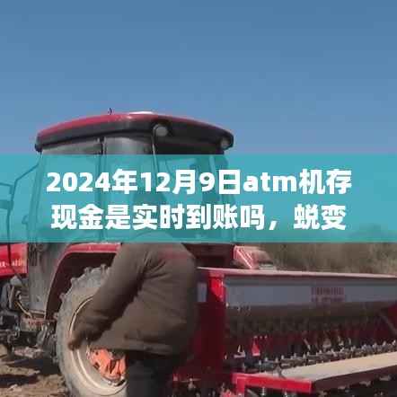 ATM機存現(xiàn)金實時到賬嗎？蛻變的力量與現(xiàn)金流轉(zhuǎn)的成長之路