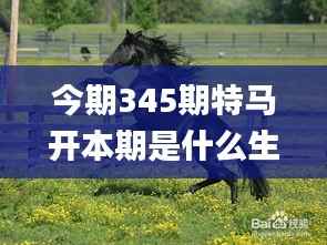 今期345期特馬開本期是什么生肖,衡量解答解釋落實(shí)_VR版1.525