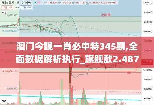 澳門今晚一肖必中特345期,全面數(shù)據(jù)解析執(zhí)行_旗艦款2.487