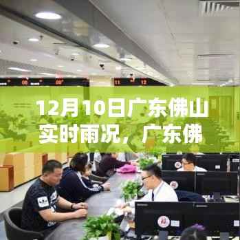 廣東佛山實時雨況下的城市治理觀點探討，雨情分析與實踐策略