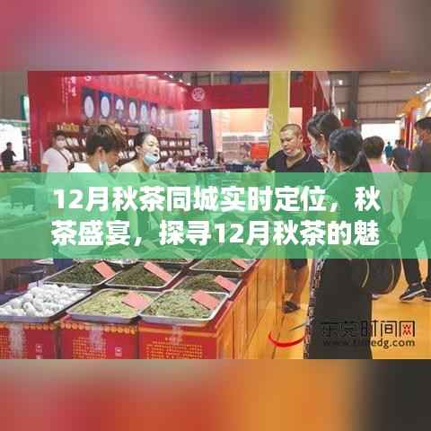 12月秋茶盛宴，實(shí)時(shí)定位探尋秋茶魅力與體驗(yàn)