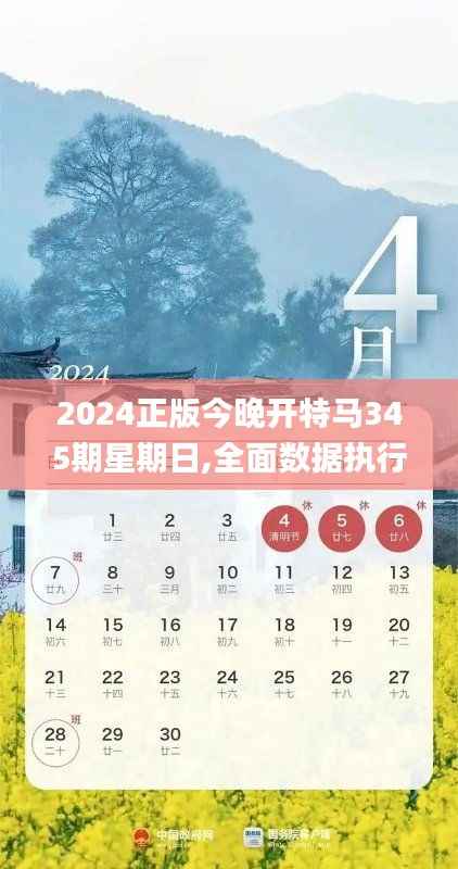 2024正版今晚開(kāi)特馬345期星期日,全面數(shù)據(jù)執(zhí)行方案_影像版4.293