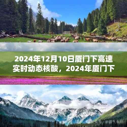 2024年廈門下高速實時動態(tài)核酸檢測指南，適合初學(xué)者與進階用戶