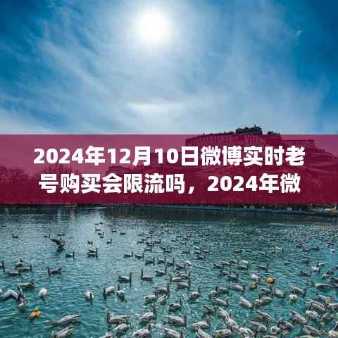 微博老號購買實時分析，限流風險與應(yīng)對策略（2024年）