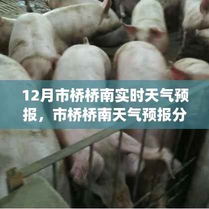 師資 第149頁(yè)