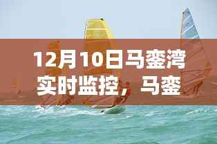 馬鑾灣實(shí)時(shí)監(jiān)控特寫，守護(hù)溫馨的日常