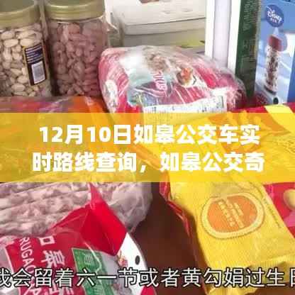 如皋公交奇遇記，暖心之旅的實(shí)時(shí)路線查詢