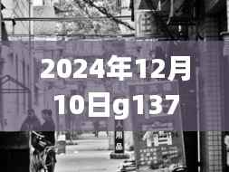 探秘G1371特色小店，實時追蹤小巷深處的獨特風味故事（2024年12月10日）