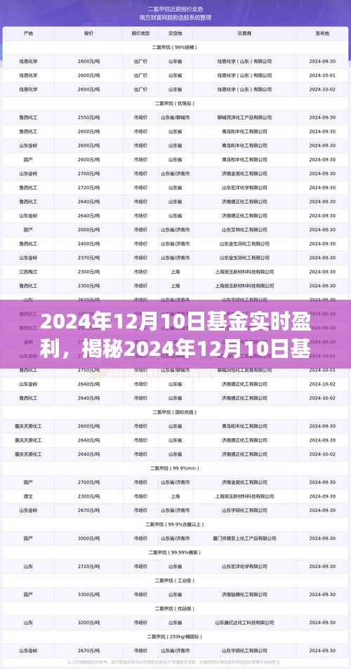 揭秘，2024年基金實(shí)時(shí)盈利情況及市場(chǎng)洞察與投資策略解析