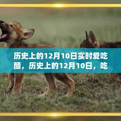 歷史上的12月10日，吃醋文化的深度解讀與個人觀點