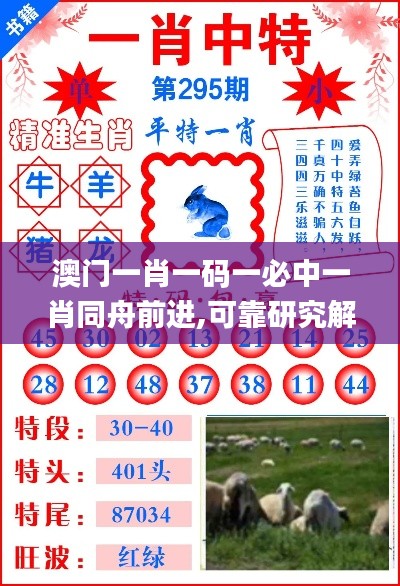 澳門一肖一碼一必中一肖同舟前進,可靠研究解釋定義_定制版5.125