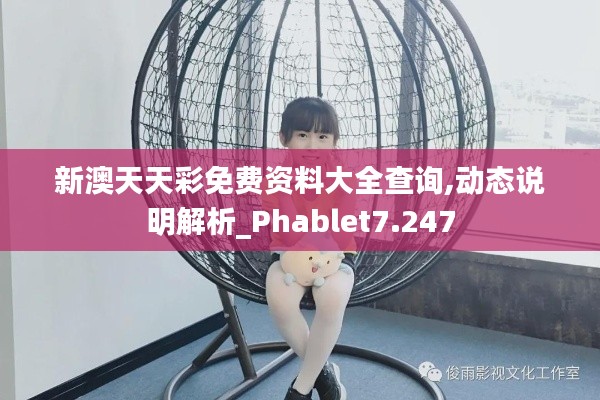 新澳天天彩免費資料大全查詢,動態(tài)說明解析_Phablet7.247