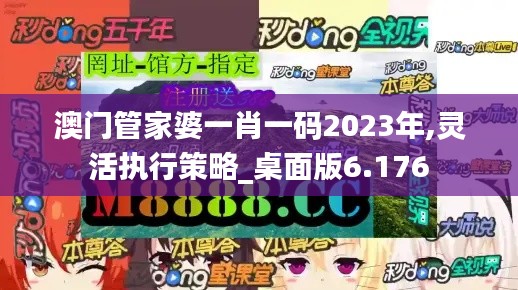 澳門(mén)管家婆一肖一碼2023年,靈活執(zhí)行策略_桌面版6.176