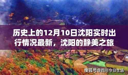 沈陽(yáng)歷史與現(xiàn)實(shí)交融的靜美之旅，探尋自然美景的心靈之旅（實(shí)時(shí)出行情況更新）