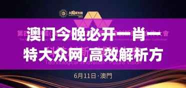 澳門(mén)今晚必開(kāi)一肖一特大眾網(wǎng),高效解析方法_Z10.949