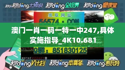 澳門一肖一碼一特一中247,具體實(shí)施指導(dǎo)_4K10.681